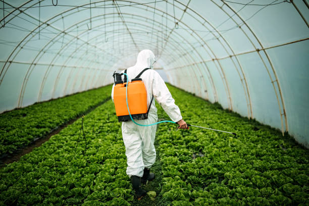 Best Commercial Pest Control Services  in Laurie, MO