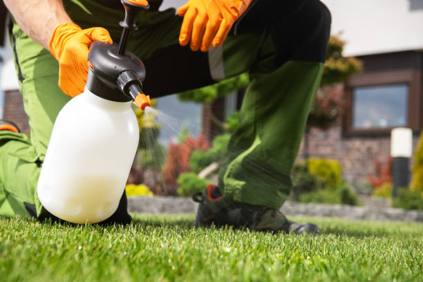 Best Wasp Removal Services  in Laurie, MO