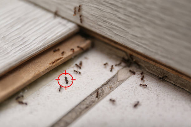 Best Pest Control for Restaurants  in Laurie, MO