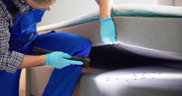 Reliable Laurie, MO Pest Control Solutions
