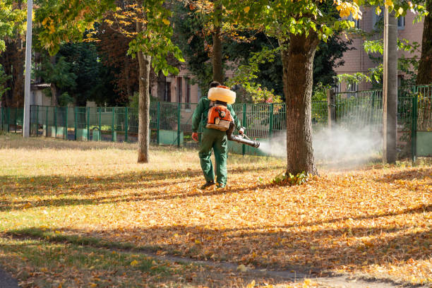 Pest Prevention Services in Laurie, MO