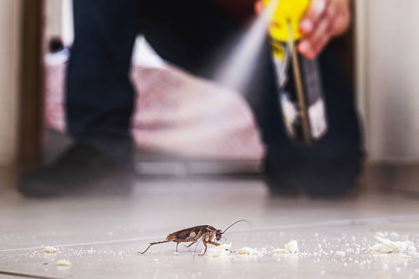 Best Insect Control  in Laurie, MO