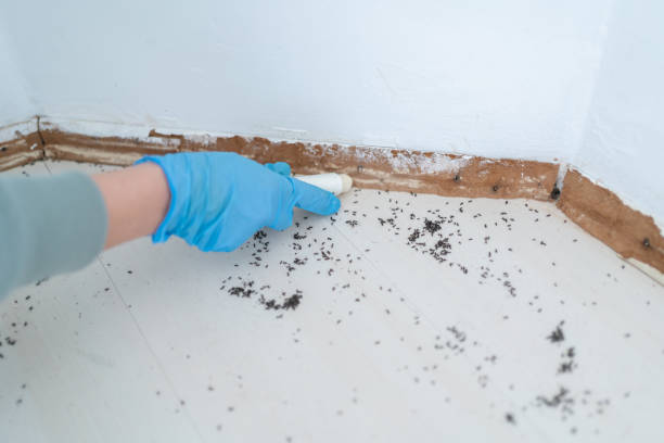 Best Pest Inspection Near Me  in Laurie, MO