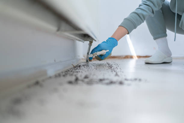 Best Cockroach Control Services  in Laurie, MO