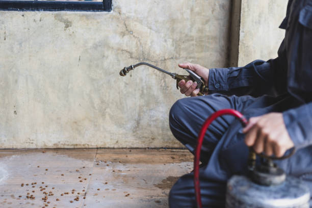 Best Pest Inspection Near Me  in Laurie, MO
